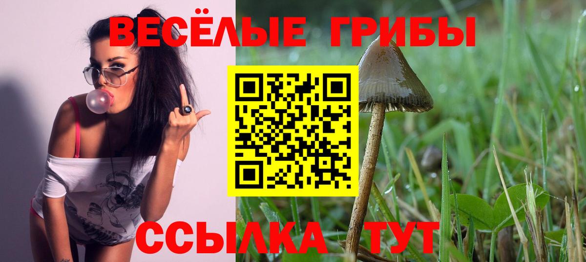 Галлюциногенные грибы ЛСД  Псилоцибиновые грибы Magic Shrooms  Вход с VPN  Саров 